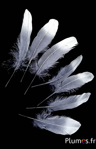 Gans mit Silberspitze - 15-21 cm - antrazit